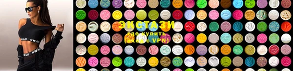 ПСИЛОЦИБИНОВЫЕ ГРИБЫ Няндома