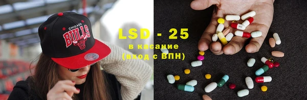 крисы Новозыбков