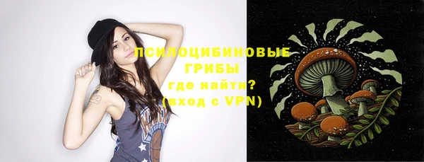 ПСИЛОЦИБИНОВЫЕ ГРИБЫ Няндома
