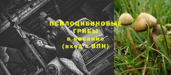 ПСИЛОЦИБИНОВЫЕ ГРИБЫ Няндома