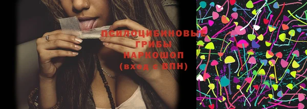 ПСИЛОЦИБИНОВЫЕ ГРИБЫ Няндома
