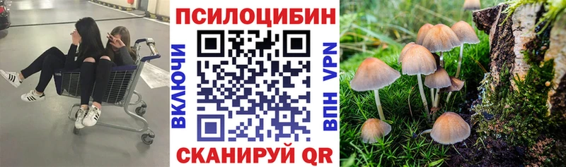 купить наркотик  Иваново  Галлюциногенные грибы мицелий 