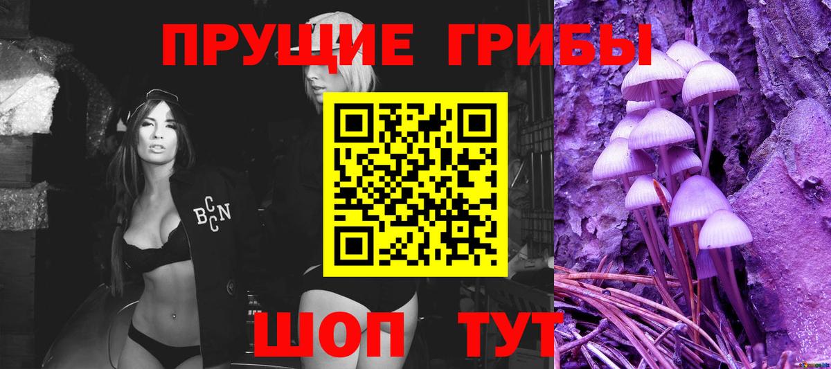 Псилоцибиновые грибы Psilocybine cubensis  Иваново  Псилоцибиновые грибы прущие грибы 