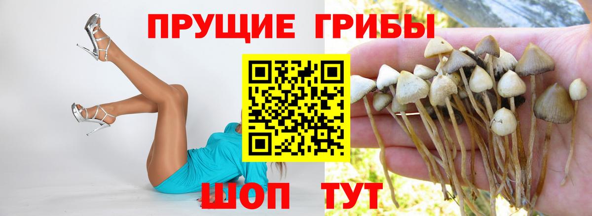 Псилоцибиновые грибы ЛСД  Вход с VPN  Иваново 